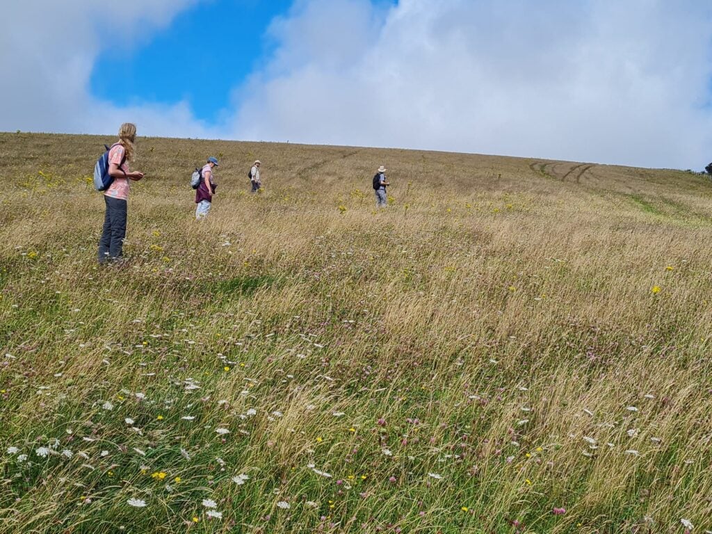Group of people spread out amid grassy hillside with cloud and blue skies above