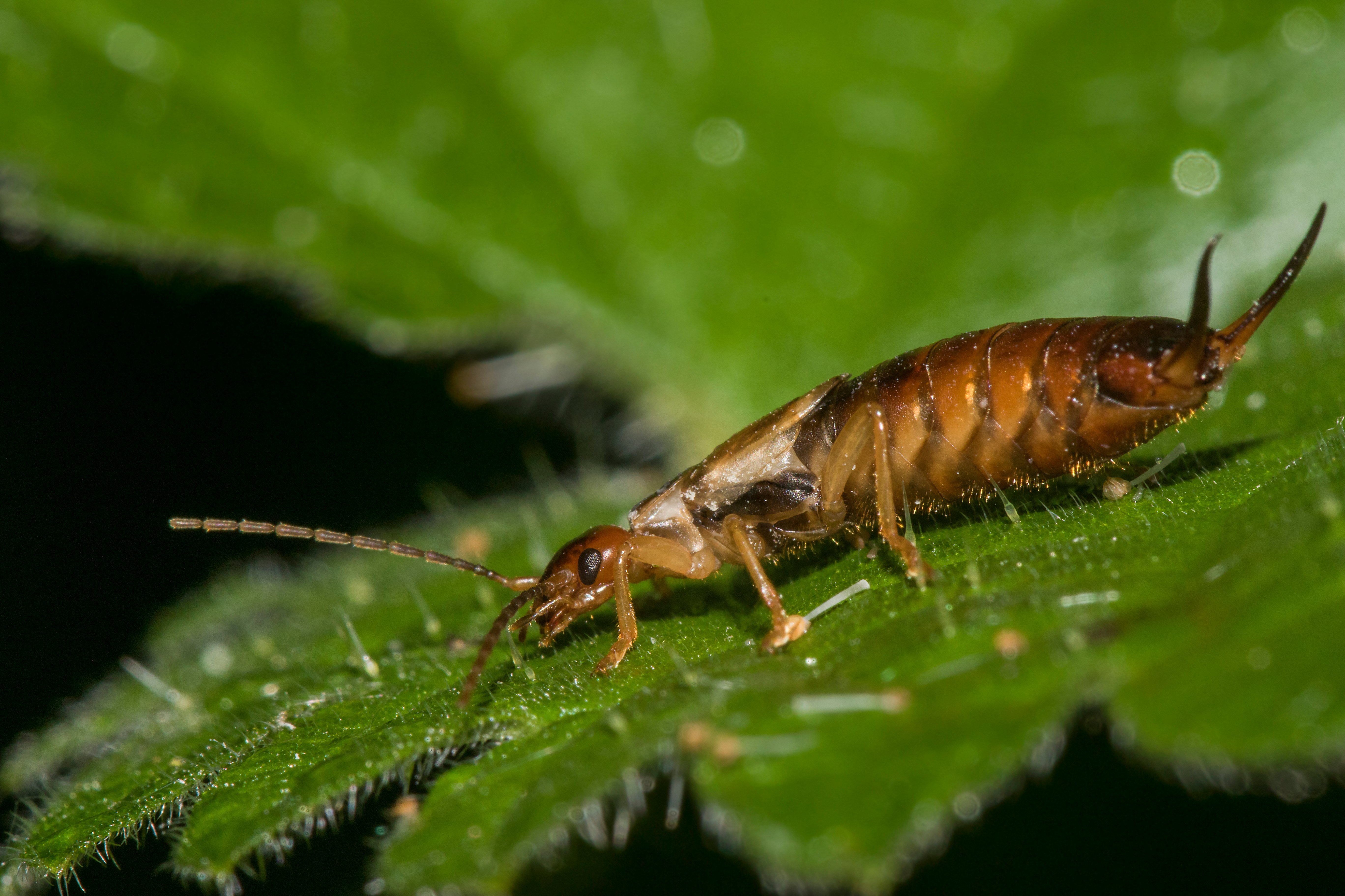 wildlifetrusts 42798716332