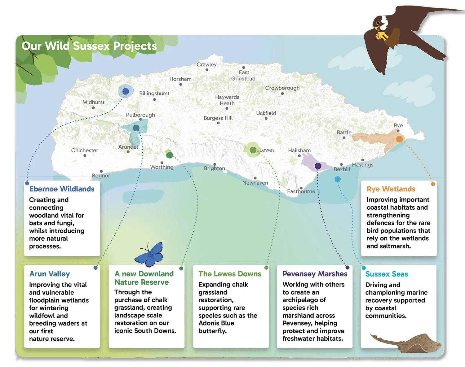 wildsussexmapwebsize 1