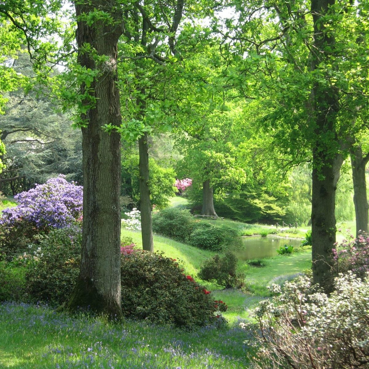 27198 image