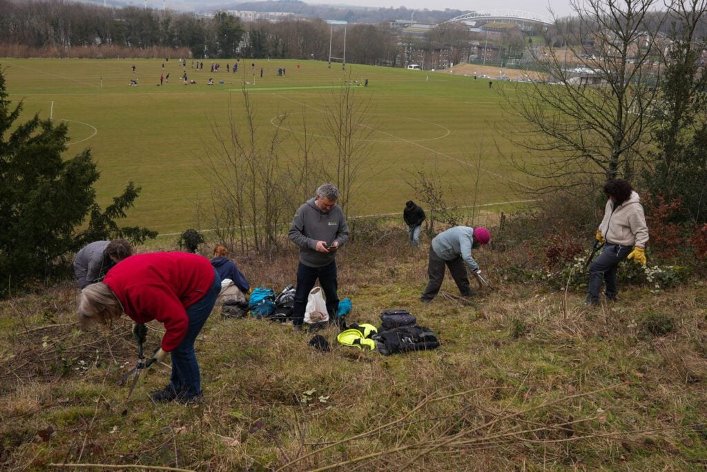 Chalk grassland restoration 3 University of Brighton
