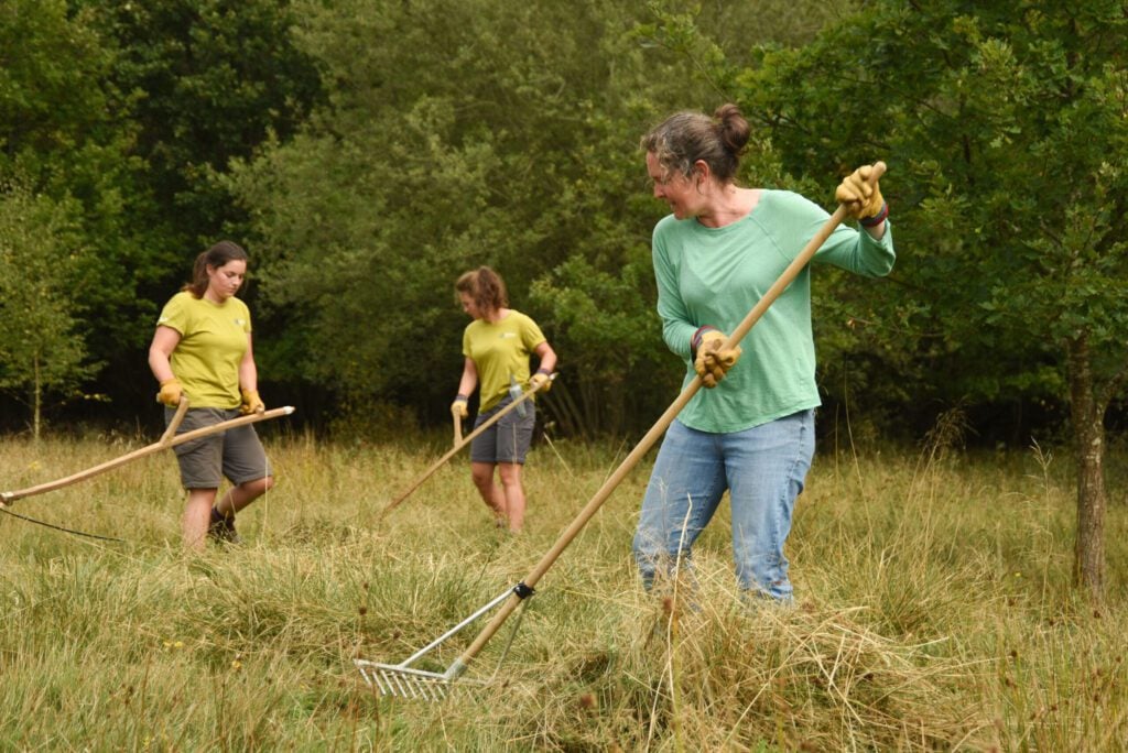 Volunteers scything and raking grass