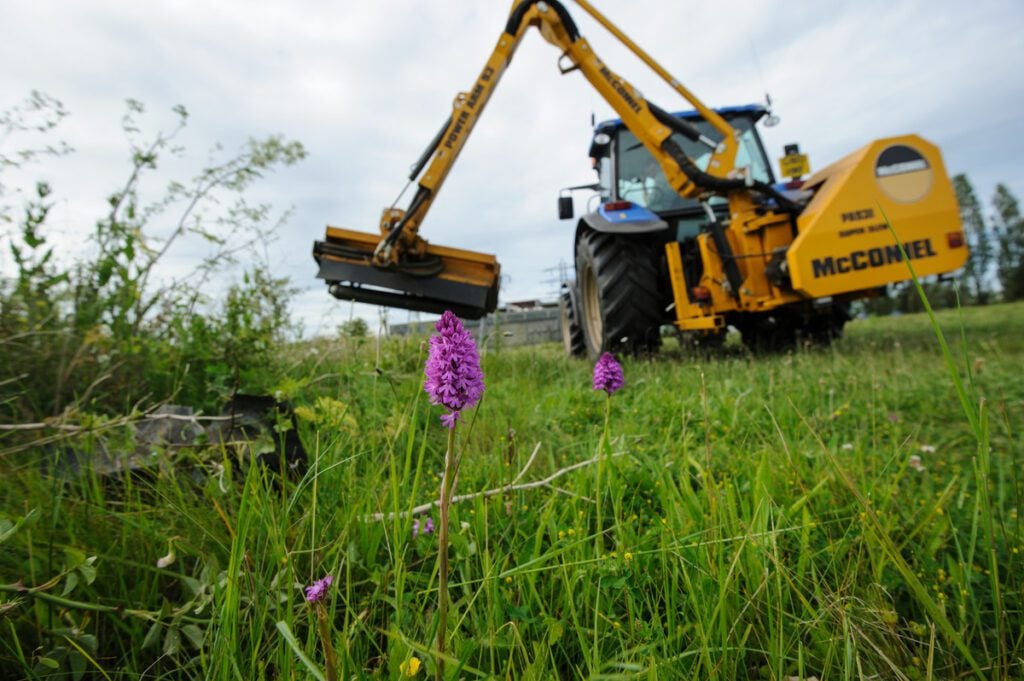 Pink orchid in foreground at field edge with heavy machinery in background