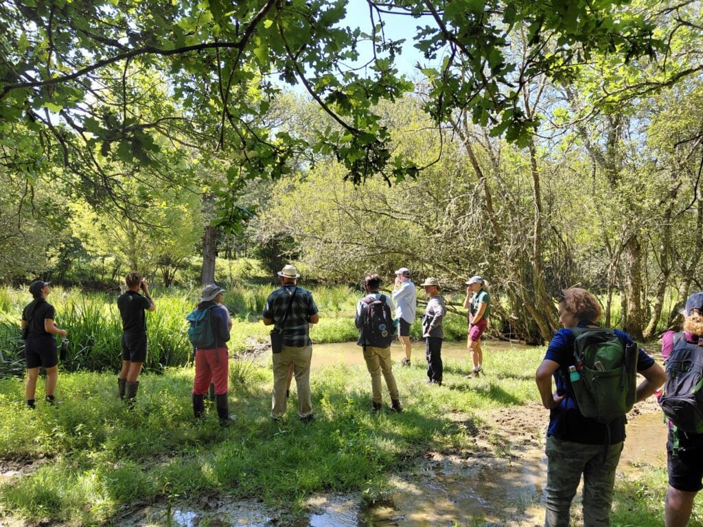 Tour of Beaver habitat Fran Southgate