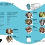 beach clean guide