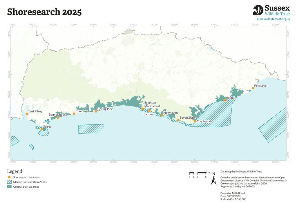 shoresearch map 2025
