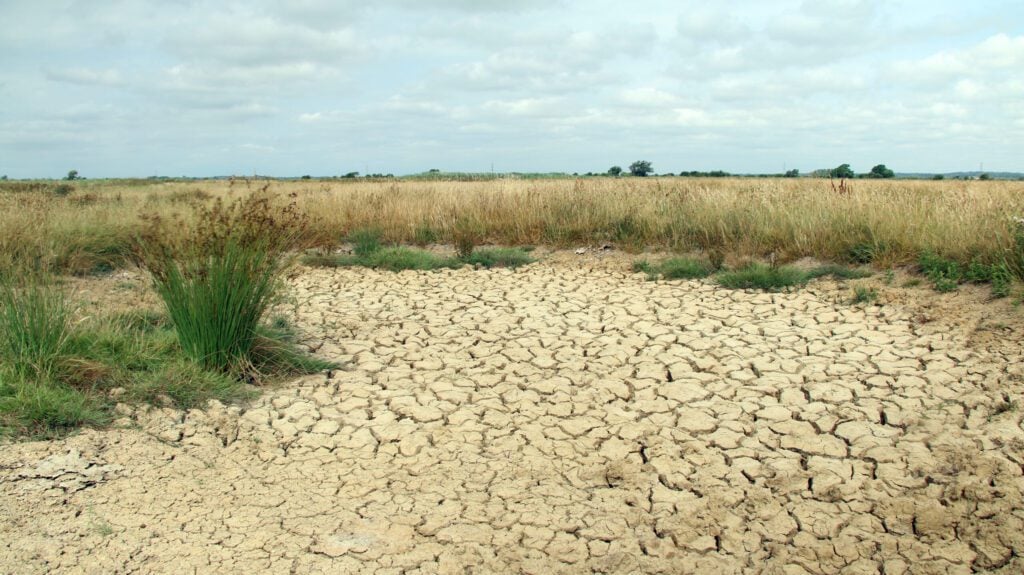 Drought at Pevensey Levels Sam Roberts