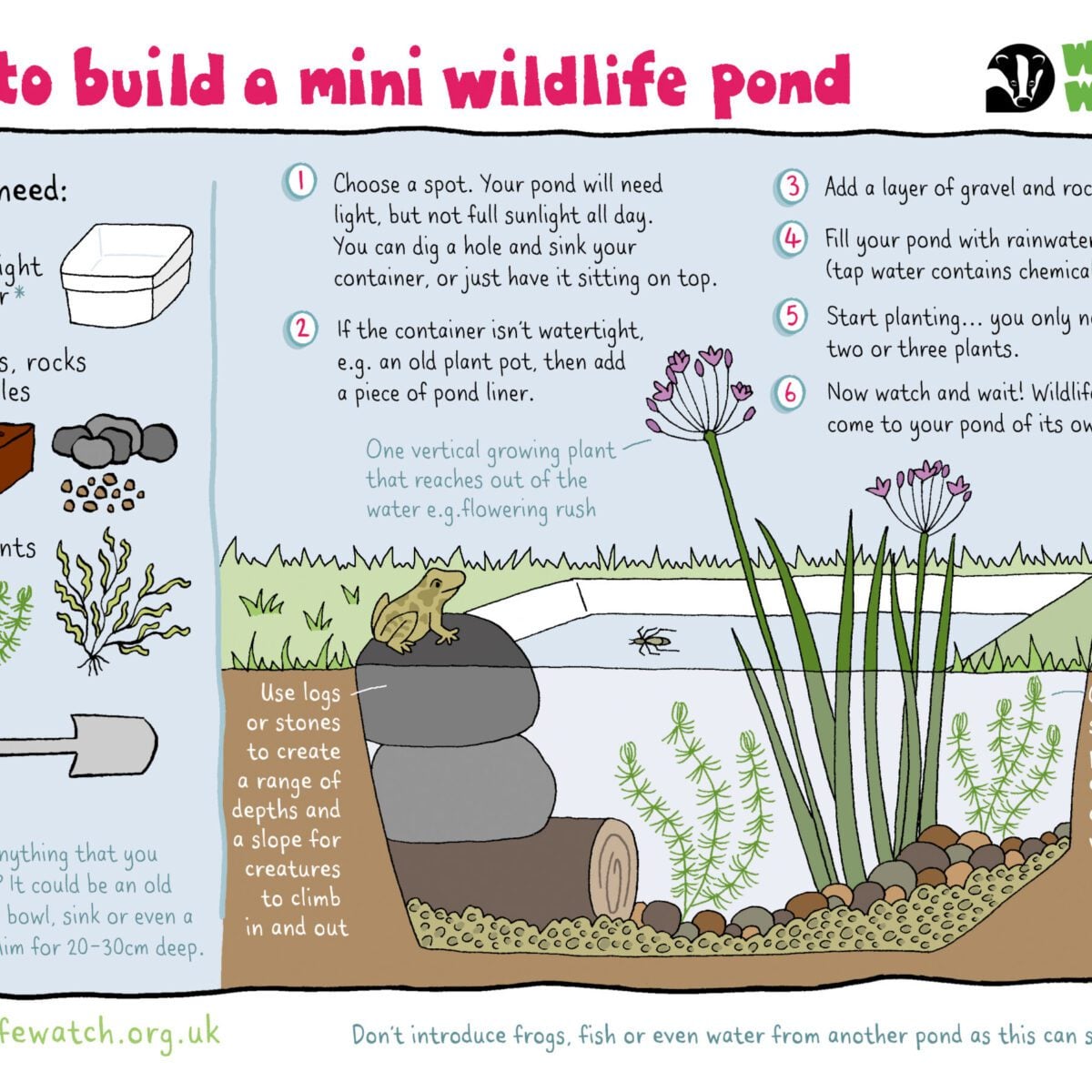 MINI WILDLIFE POND 2019 RGB