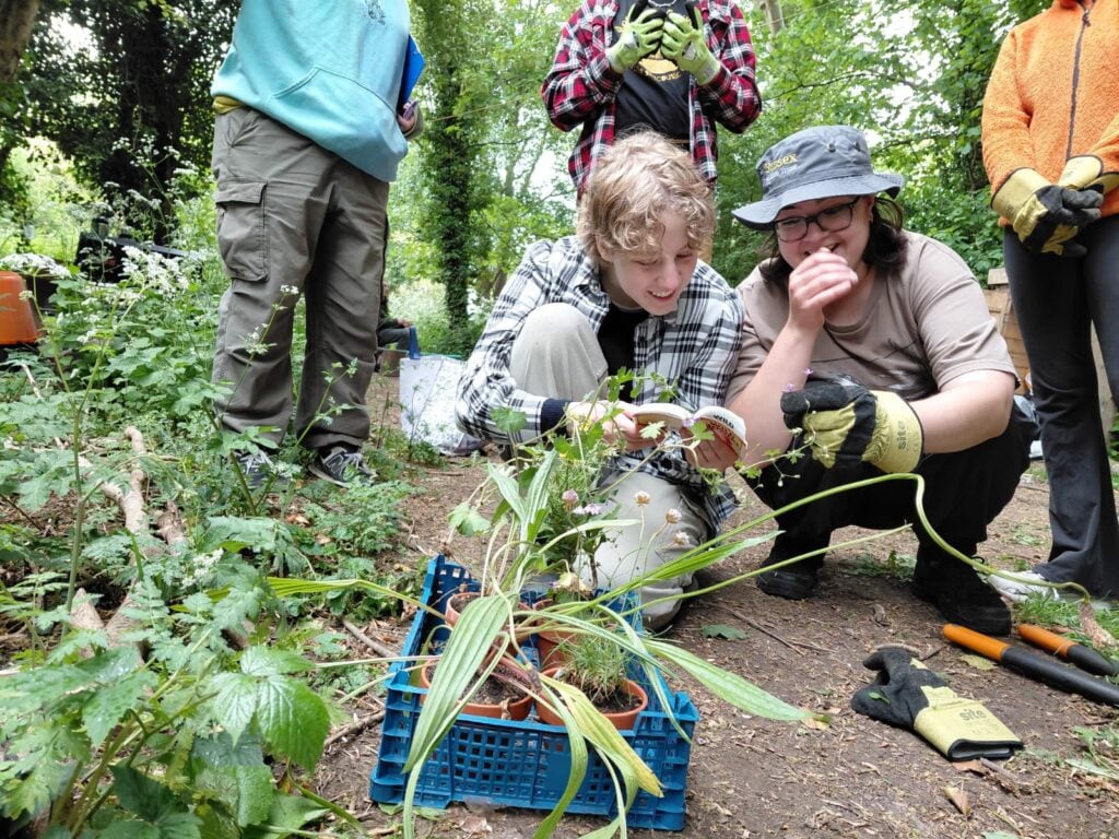 Youth Rangers Planting wildflowers at The Deneway Archie Taplin