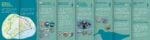 big discovery leaflet pdf