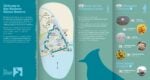 poetry trail leaflet final pdf