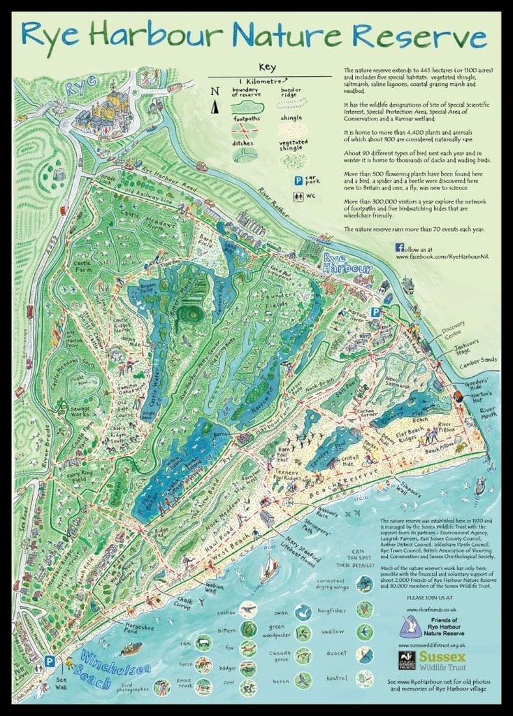 rye tea towel 800