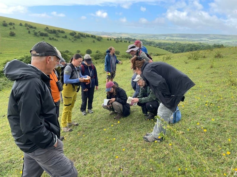surveying plants at southerham julia hoare june 2026 1 1