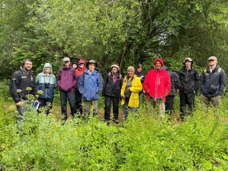 woods mill bioblitz june 26 julia hoare 1 w800h600 1