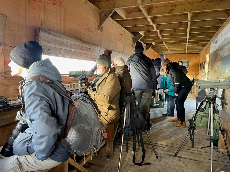 Guide in a Hide Linda Wren