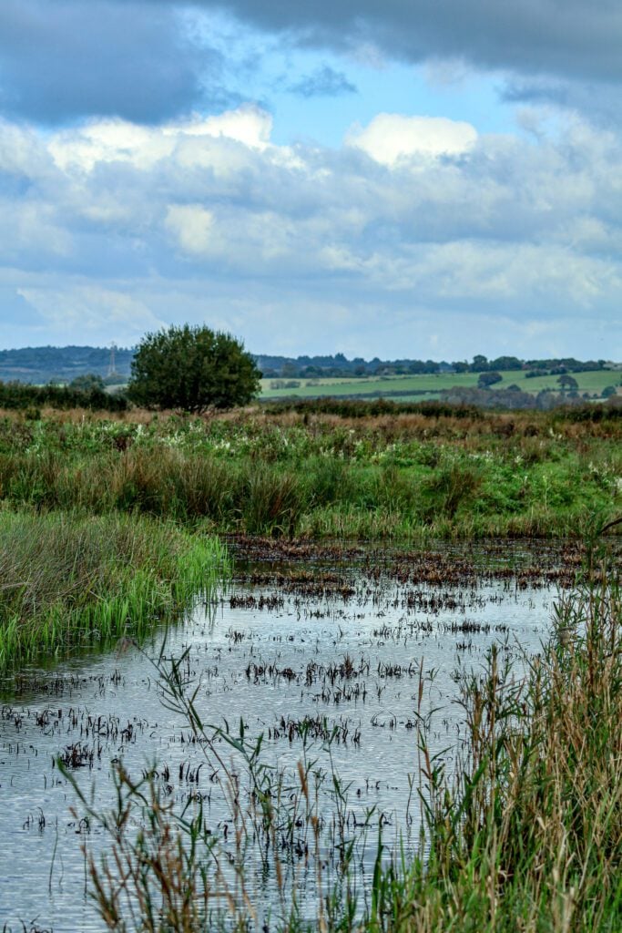 Pevensey Levels Project13 Kai Hilton 4