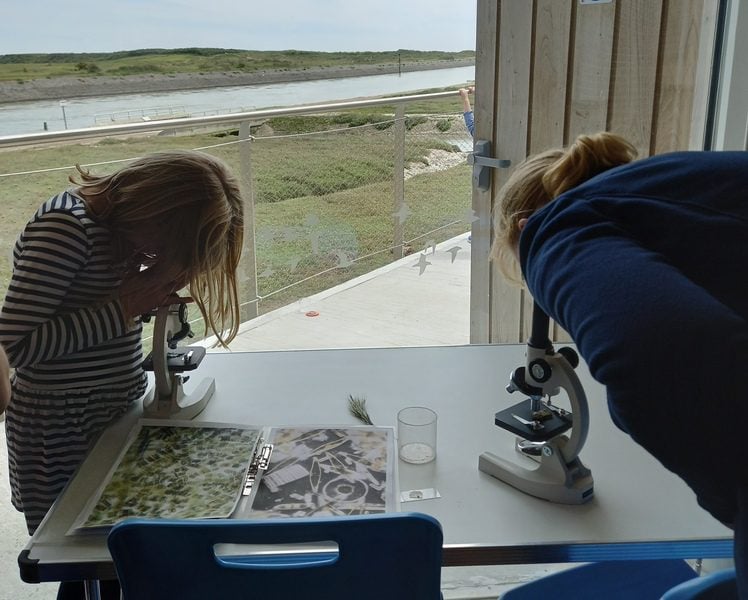 Watch Event at Rye Harbour Nature Reserve Lucy Bowyer