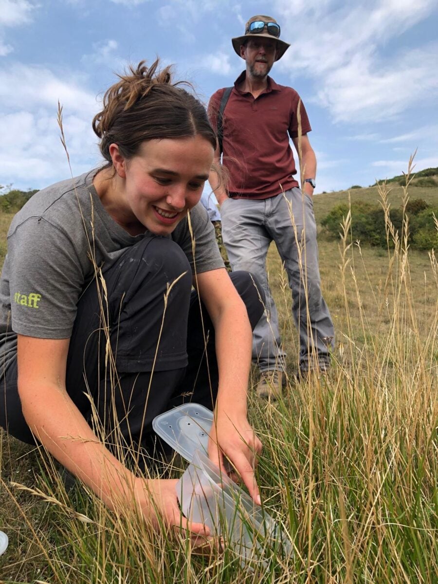 sussex wildlife trust assist with translocation c karim vahed 1