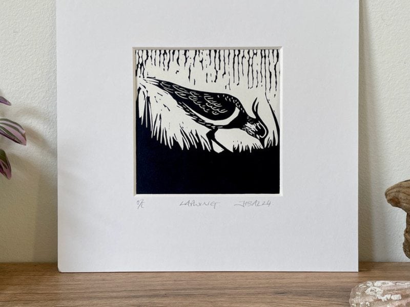 Jackdaw and Bear