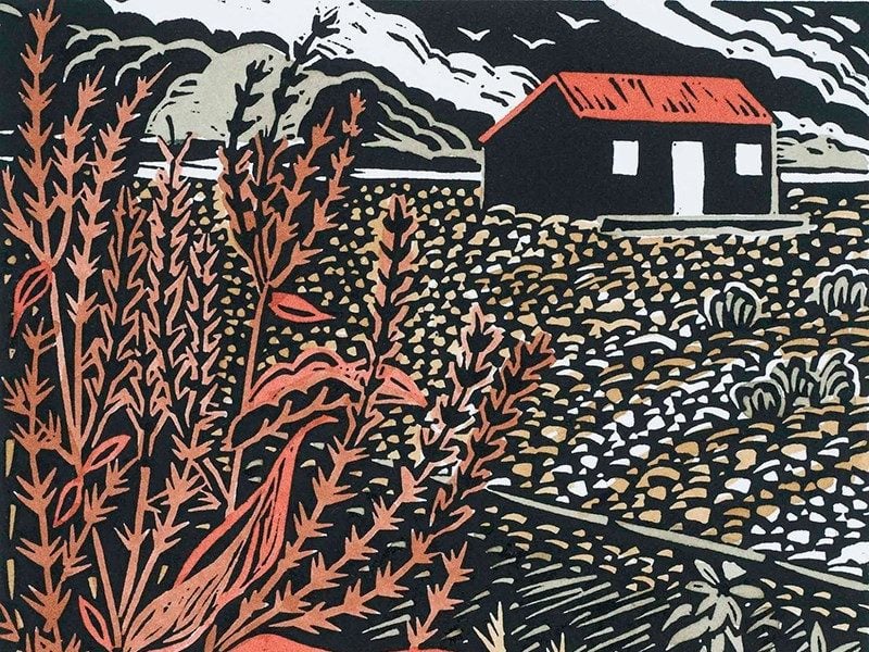 Blog landscape 22