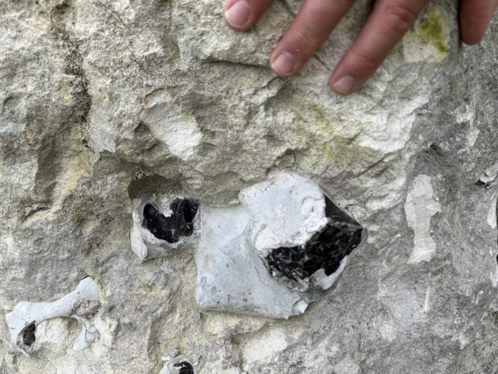 Bridgewick Pick block