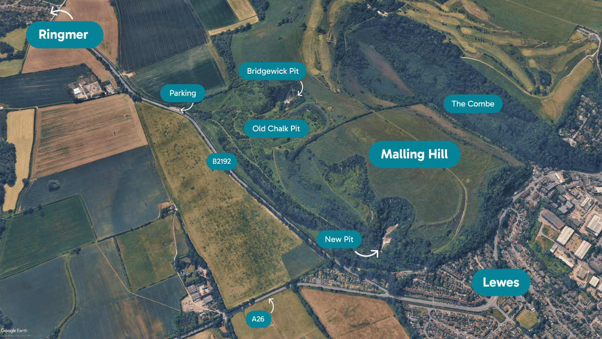 Malling map 1 1