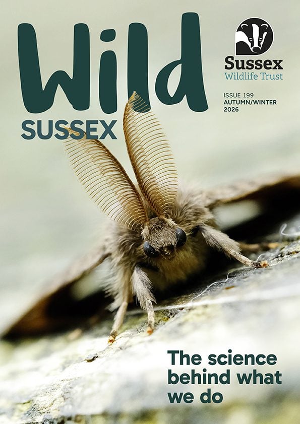 SWT WildSussex 199 Cover WEB