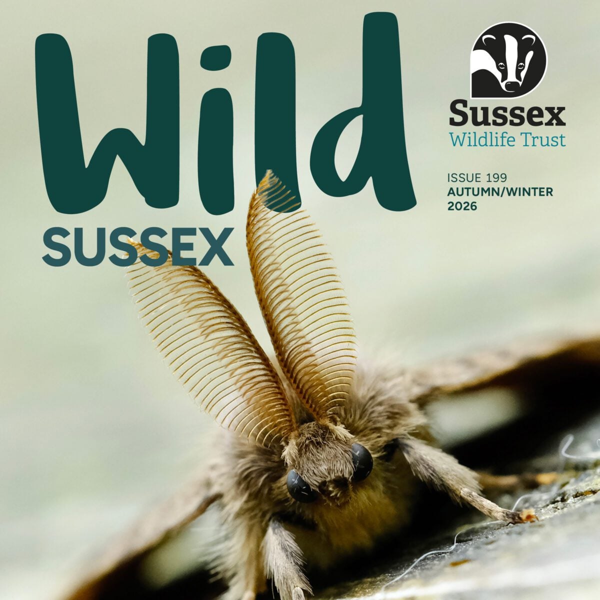 sq SWT WildSussex 199 Cover FINAL